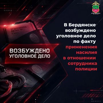 В Бердянске возбуждено уголовное дело по факту применения насилия в отношении сотрудника полиции
