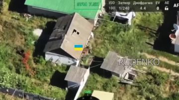 Андрей Руденко: Кадры боевой работы по освобождению Любицкого в Запорожской области