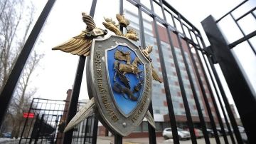 СК завел дело о теракте после атаки ВСУ на автобус в Запорожской области