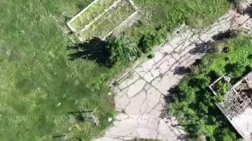 ����� ������. �������� ����� ������ ���������� ���� 63 ��������� ���� �������� ����������� ����� "������" � ��������� ��� �������� ������� ���������� �������� ��������, ��������� ���������������� ����� ��� �� �����������...