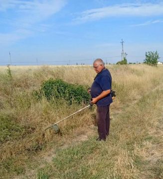 Забота о чистоте и порядке в Новониколаевке