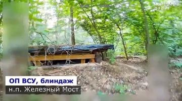 ���������: ����� ������ ���������� ���������� ������ ����� �� ����������� ������������, ���������� � ����������� ������� ����������