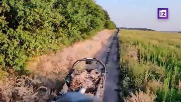 Операторы БПЛА группировки войск "Восток" сорвали снабжение передовых позиций ВСУ в Запорожской области