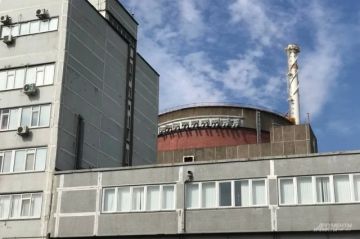 Дрон ВСУ ударил в паре метров от реакторного отделения Запорожской АЭС