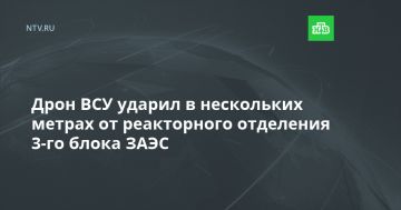 ���� ��� ������ � ���������� ������ �� ����������� ��������� 3-�� ����� ����