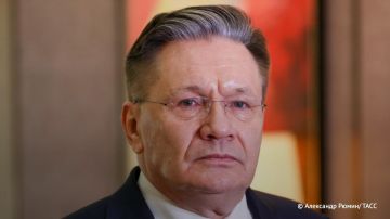 Юлия Витязева: А что Гросси? Он - никто и раб лампы