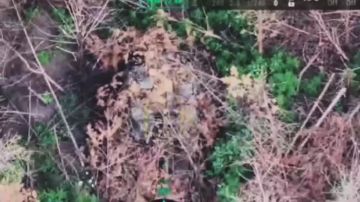 ������� ���������: ��������� � ����: � ����������� ������� ����������� ����� ������� �������� ������� ���������� ���������� ���