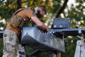�����: ��� �� ������� ���������� ����������������, ������ �� ����� � �������� �����