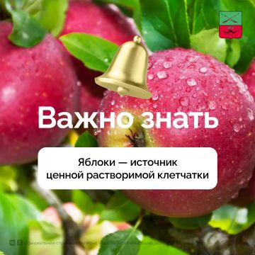 ���� ����� � �������� ������ �����������