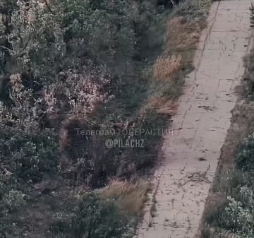 ������ �� ��������� ������� � ����� ����� ��� ����, ������ ������, ����� �������� �������������� �������