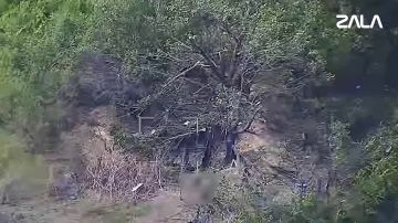������� ��� ZALA ������� ����������� ������� ���������� ��� ��� � ����������� �������