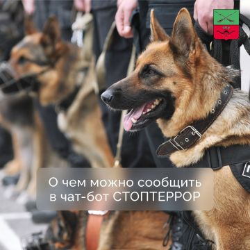 Куда обратиться при обнаружении подозрительного предмета