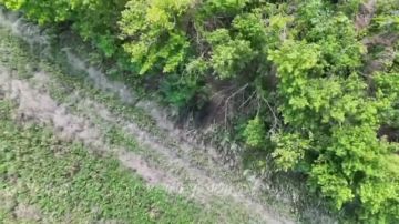 ������� ���� 14 ��������� ����������� ������� �������� ����������� ����� "������" ���������� ���������� ����� ���� ���������� �� ����������� �����������