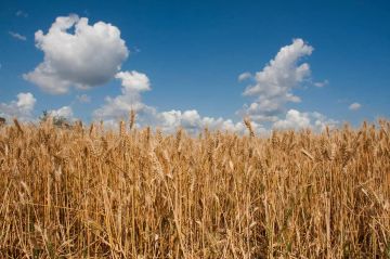 ���������������� �������� �������� ����������� �� ����� �������������� ���������� ������ � ��������� �������