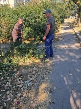Сквер в районе рынка на АКЗ приобретает ухоженный вид