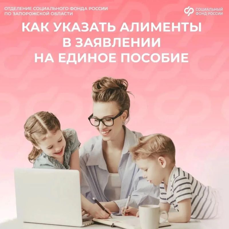 Как заполнить информацию об алиментах в заявлении на единое пособие онлайн