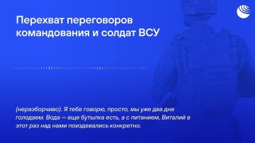 «Да я уже солнцем питаюсь!»