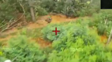 �����-�������� 60 ��������� ����������� �������������� ������� ����������� ����� "������" ���������� �������� � ���������� ����� ���� �� ����������� �����������