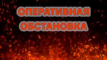 За прошедшие сутки над территорией Запорожской области зафиксировано значительное число БпЛА противника — как дронов-разведчиков, так и ударных беспилотников