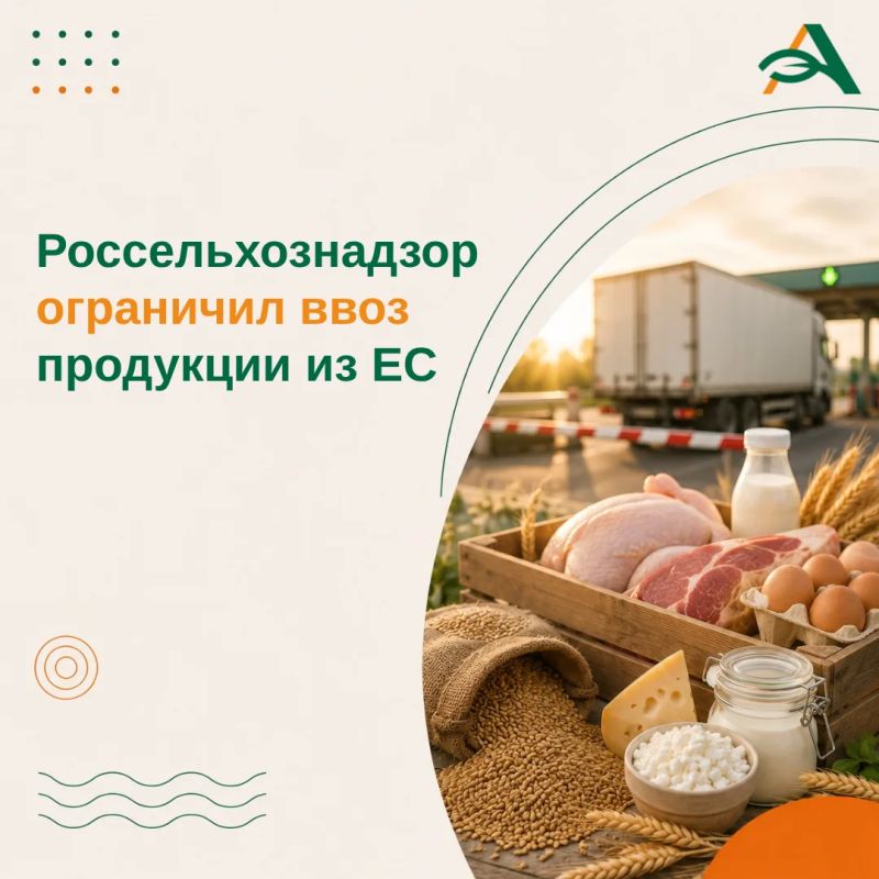 Россия вводит ограничения на транзит мяса и субпродуктов птицы из ЕС с 5 августа