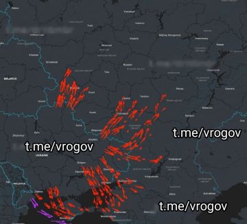 Владимир Рогов: Сегодня нас ждёт непростая ночь