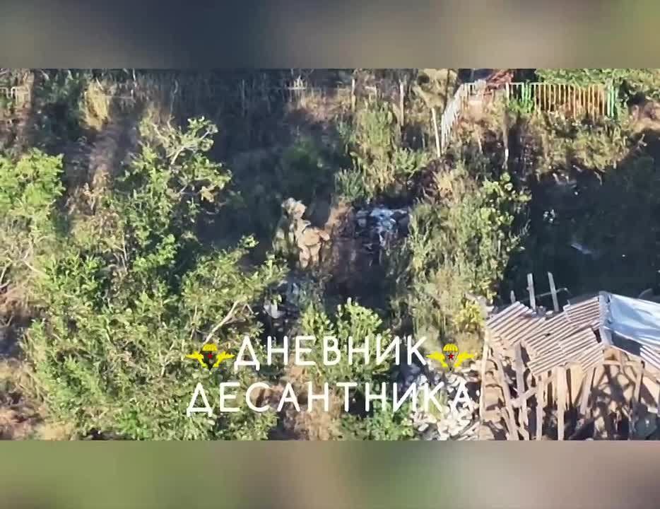На Запорожском направлении во время ведения воздушной разведки выявлена диверсионная группа противника в количестве 3 военнослужащих, с целью проникнуть к нашим позициям и закрепиться