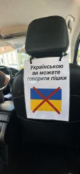Надпись на польском: «На украинском языке вы можете говорить пешком»
