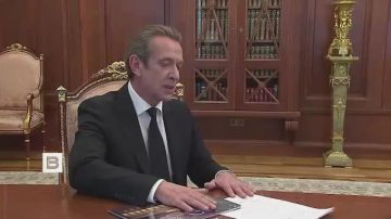 Владимир Путин провёл рабочую встречу с народным артистом России Владимиром Машковым
