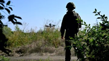ВС РФ освободили Рыжевку в Сумской области и Зарницу в Запорожской – Минобороны