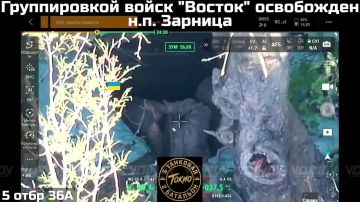 ������������� ����������� ����� "������" ���������� ����˨���� ����� �������