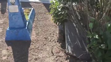 � �������������� ������ ����������� ���������� ���������� ���������� � ����������� �����������