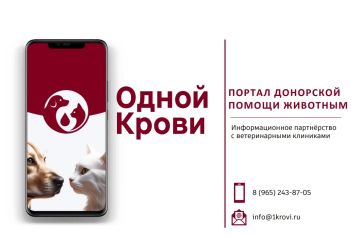 Запорожская область: Запущен Единый портал донорской помощи животным "Одной крови"