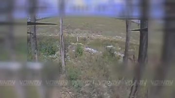 Операторы 39 бригады 68 АК ликвидируют украинские малые пехотные группы на Запорожском направлении