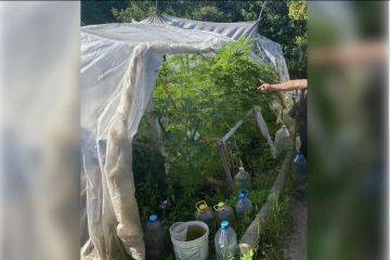 ������� � ����������� ������� ����� �������� 21 ���� �������