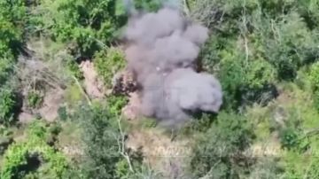��������� ���� 37 ��������� ����������� �������������� ������� 36 ����� ����������� ����� "������" ���������� ���������� ������� ������� � ���� ���������� �� ����������� �����������