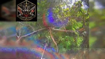 ������� ���� 35 ������������ ����� ���� 35 ����� ����������� ����� ������� ���������� �������� ������� ���������� ��� �� ����������� �����������