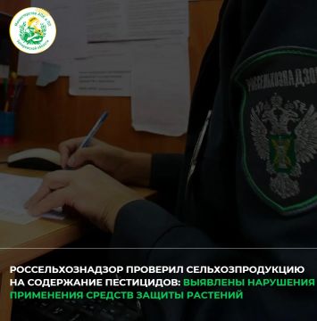 �����-������������ ��������������� ����������� ����������������� � ����������� ������� � 25 ��� �� 31 ���� 2026 ���� �������� ����� ���� �������������������� ��������� ��� �������� �� ���������� ���������� ���������...