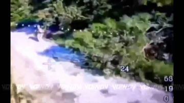 Операторы БПЛА 35 гвардейского полка РХБЗ 35 армии группировки войск "Восток" продолжают выявлять и уничтожать живую силу противника на Запорожском направлении