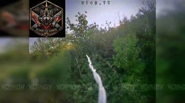Расчеты БпЛА 35 гвардейского полка РХБЗ 35 армии группировки войск «Восток» уничтожили очередную партию наземных станций управления ВСУ на Запорожском направлении