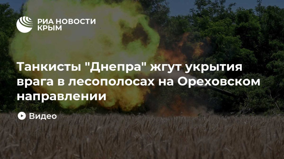 Танкисты "Днепра" жгут укрытия врага в лесополосах на Ореховском направлении