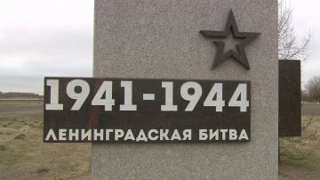 Библиотеки Михайловского округа представили выставки ко Дню окончания Ленинградской битвы