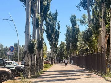 Доброе утро, городской округ Мелитополь