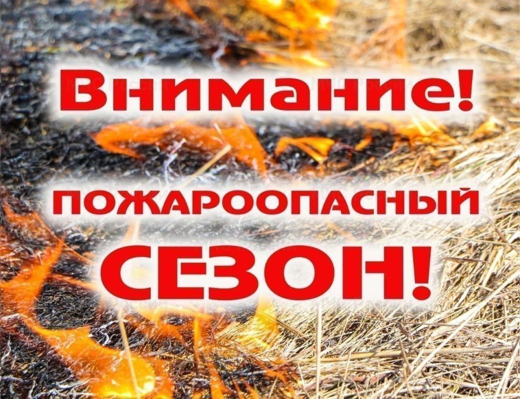 В Запорожской области с 1 апреля начался пожароопасный сезон