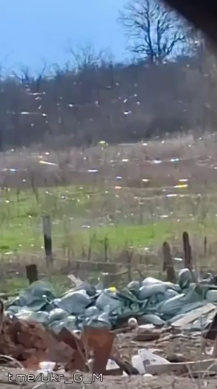 Современные пейзажи в зоне СВО