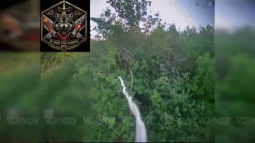 Расчеты БпЛА 35 гвардейского полка РХБЗ 35 армии группировки войск «Восток» уничтожили очередную партию наземных станций управления ВСУ на Запорожском направлении