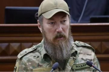 Командующий Силами беспилотных систем пятачков - Мадьяр, прокукарекал в интервью Associated Press про возможности ВС РФ одновременно запустить по Украине 77 баллистических ракет