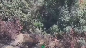 ����������� ������ ���������� ���� ��� � ����������� �������