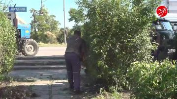 Благоустройство зон отдыха Бердянска продолжается