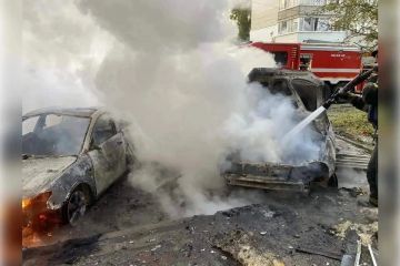 Над Запорожьем выросла численность ударных и разведывательных дронов ВСУ