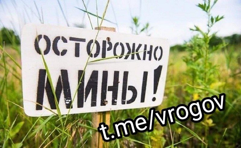 Владимир Рогов: Осторожно: нацисты заминировали подъездные дороги к Энергодару